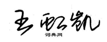 朱錫榮王虹凱草書個性簽名怎么寫