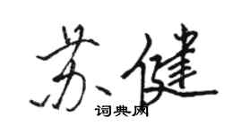 駱恆光蘇健行書個性簽名怎么寫