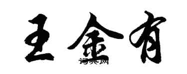 胡問遂王金有行書個性簽名怎么寫