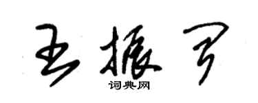 朱錫榮王振聞草書個性簽名怎么寫
