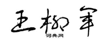 曾慶福王柳軍草書個性簽名怎么寫
