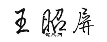 駱恆光王昭屏行書個性簽名怎么寫