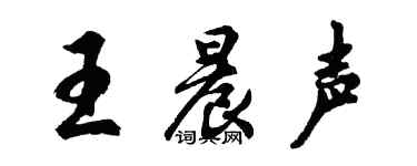 胡問遂王晨聲行書個性簽名怎么寫