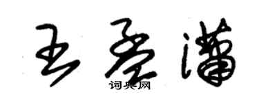 朱錫榮王孟瀟草書個性簽名怎么寫