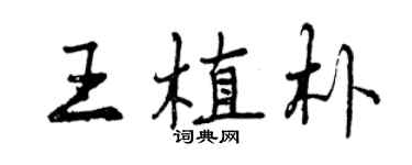 曾慶福王植朴行書個性簽名怎么寫