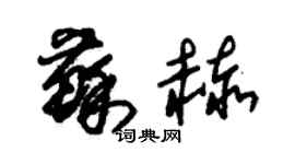 朱錫榮蘇赫草書個性簽名怎么寫