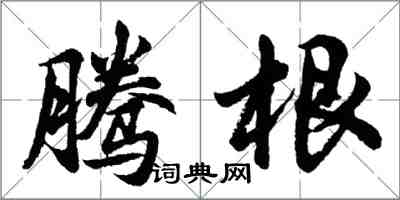 胡問遂騰根行書怎么寫