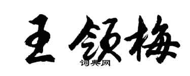 胡問遂王領梅行書個性簽名怎么寫
