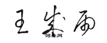 駱恆光王成雨草書個性簽名怎么寫