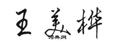 駱恆光王美樺行書個性簽名怎么寫