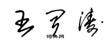 朱錫榮王聞濤草書個性簽名怎么寫