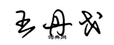 朱錫榮王丹戈草書個性簽名怎么寫