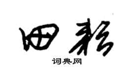 朱錫榮田耘草書個性簽名怎么寫