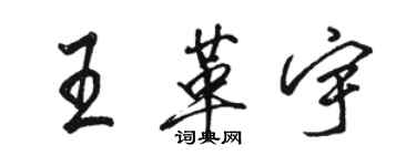 駱恆光王革宇行書個性簽名怎么寫