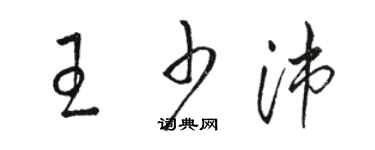 駱恆光王少沛草書個性簽名怎么寫