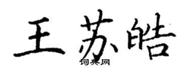丁謙王蘇皓楷書個性簽名怎么寫