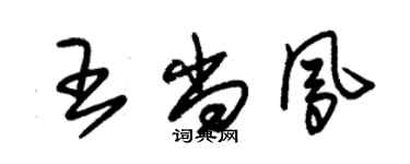 朱錫榮王尚鳳草書個性簽名怎么寫