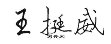 駱恆光王挺威行書個性簽名怎么寫