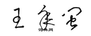 駱恆光王年閩草書個性簽名怎么寫