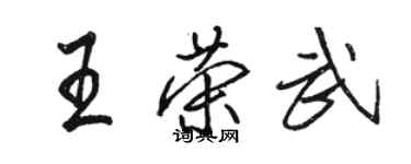 駱恆光王榮武行書個性簽名怎么寫