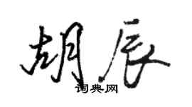 駱恆光胡辰行書個性簽名怎么寫