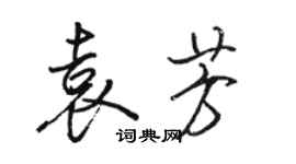 駱恆光袁芳行書個性簽名怎么寫