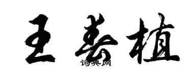 胡問遂王春植行書個性簽名怎么寫