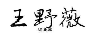 曾慶福王野薇行書個性簽名怎么寫