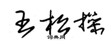 朱錫榮王松操草書個性簽名怎么寫