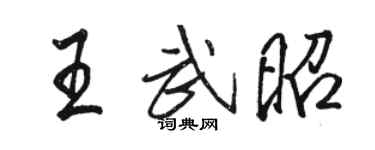 駱恆光王武昭行書個性簽名怎么寫