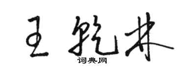 駱恆光王乾林草書個性簽名怎么寫