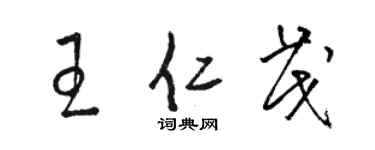 駱恆光王仁茂草書個性簽名怎么寫