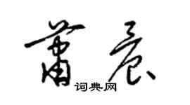 梁錦英蕭晨草書個性簽名怎么寫