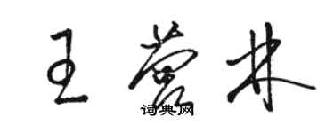 駱恆光王營林草書個性簽名怎么寫