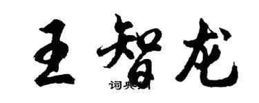 胡問遂王智龍行書個性簽名怎么寫