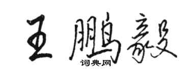 駱恆光王鵬毅行書個性簽名怎么寫