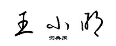 梁錦英王小明草書個性簽名怎么寫