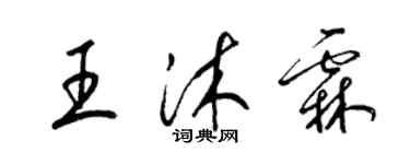 梁錦英王沐霖草書個性簽名怎么寫