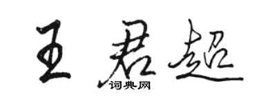 駱恆光王君超行書個性簽名怎么寫