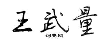 曾慶福王武量行書個性簽名怎么寫