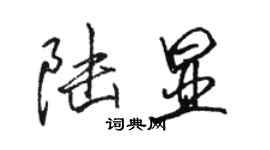 駱恆光陸顯行書個性簽名怎么寫