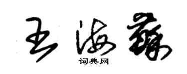 朱錫榮王海蘇草書個性簽名怎么寫