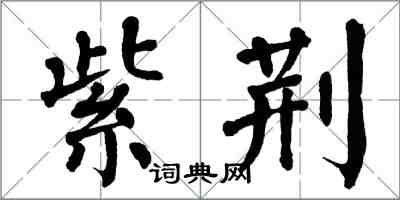 翁闓運紫荊楷書怎么寫