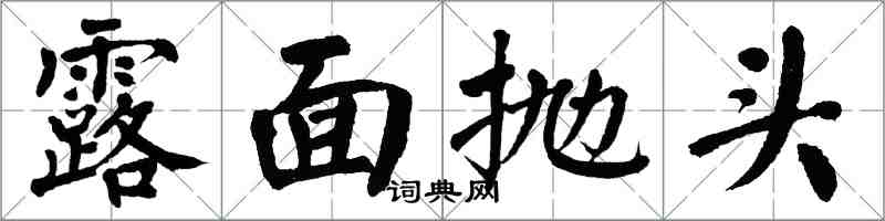 翁闓運露面拋頭楷書怎么寫