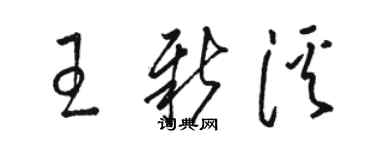 駱恆光王新溪草書個性簽名怎么寫