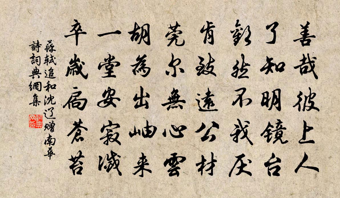 蘇軾追和沈遼贈南華詩書法作品欣賞