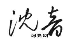 駱恆光沈音草書個性簽名怎么寫