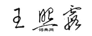 駱恆光王照霞草書個性簽名怎么寫