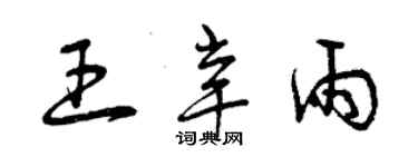 曾慶福王辛雨草書個性簽名怎么寫