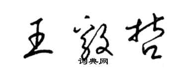 梁錦英王毅哲草書個性簽名怎么寫